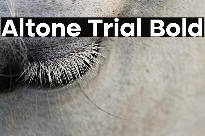Altone Trial Bold Example 3