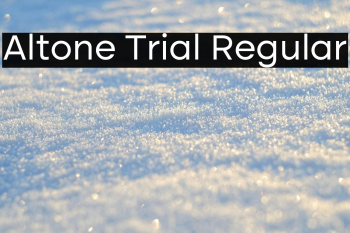 Altone Trial Regular Example 1