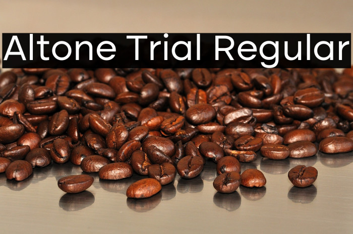 Altone Trial Regular Example 3