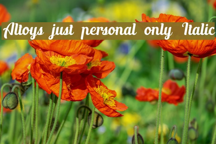 Altoys just personal only Italic Font examples