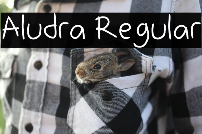 Aludra Regular Example 3
