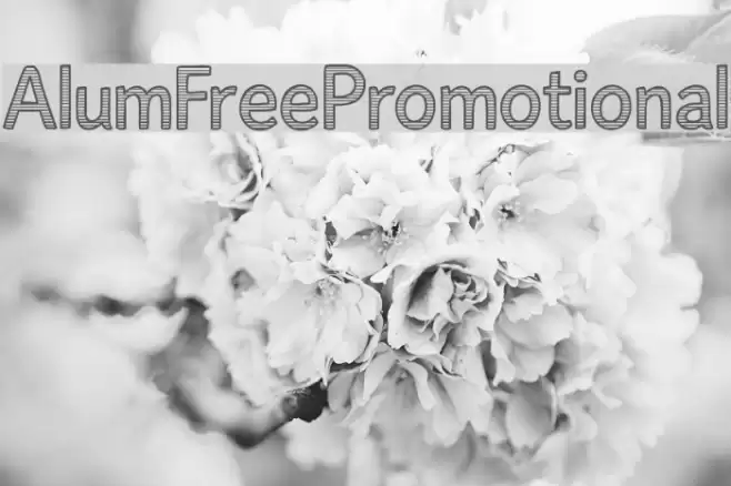 AlumFreePromotional Font examples