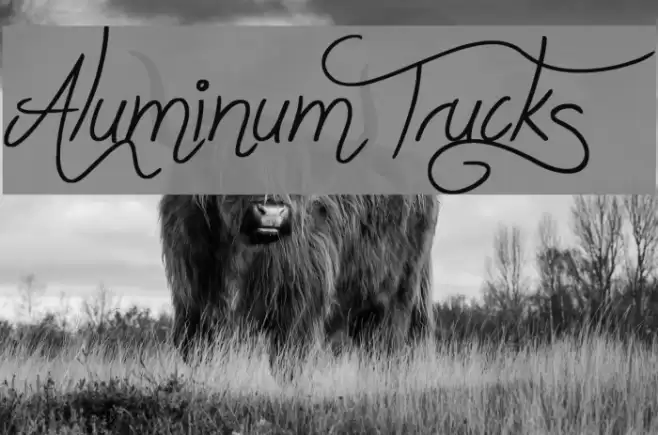 Aluminum Trucks Font examples