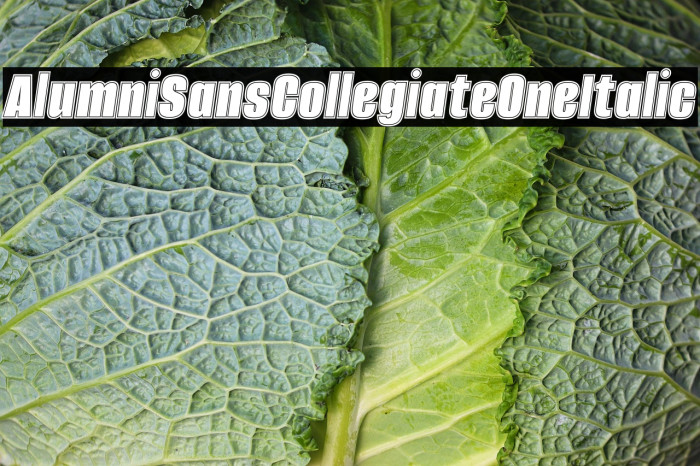 Alumni Sans Collegiate One Italic Example 1