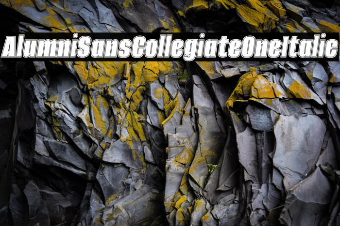 Alumni Sans Collegiate One Italic Example 2