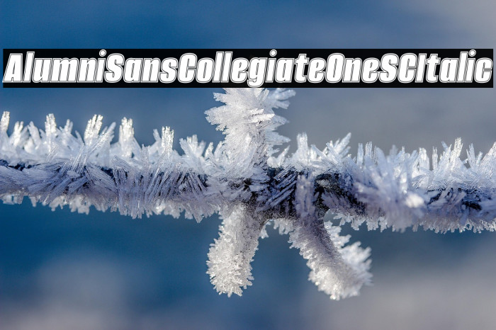 Alumni Sans Collegiate One SC Italic Example 1
