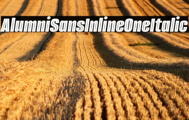 Alumni Sans Inline One Italic Example 1