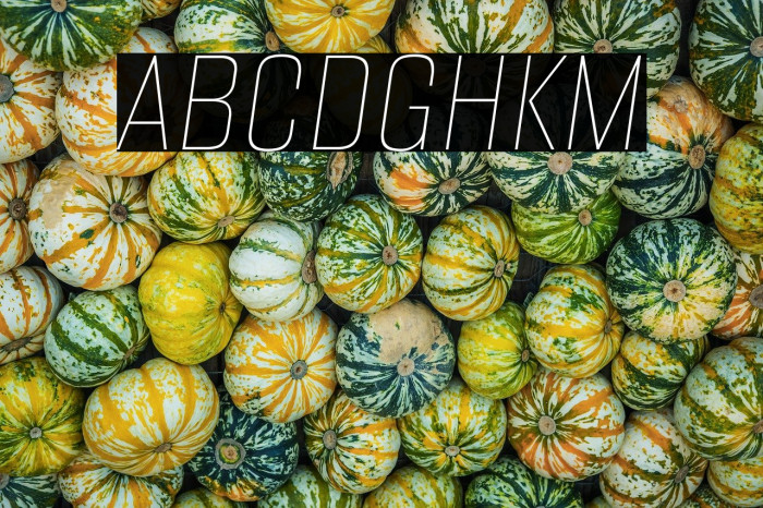 Alumni Sans Pinstripe Italic Example 1