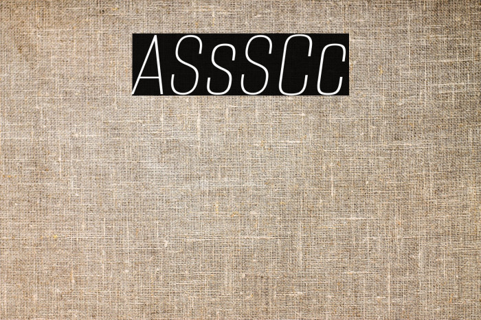 Alumni Sans SC Thin Italic Example 1