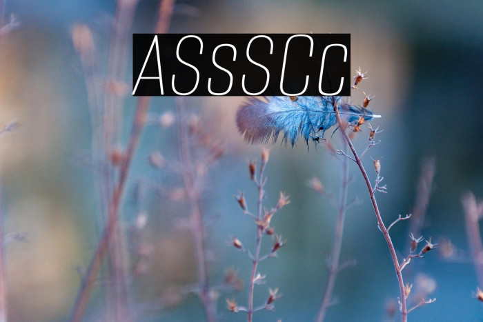 Alumni Sans SC Thin Italic Example 2