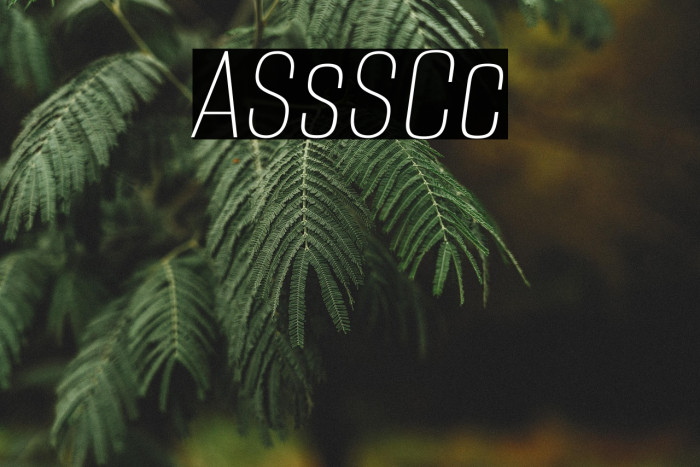 Alumni Sans SC Thin Italic Example 3