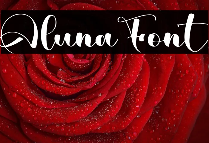 Aluna Example 2