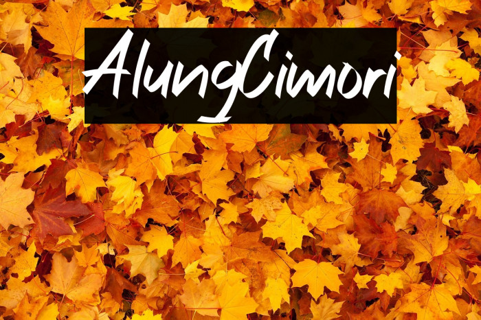 AlungCimori Example 1