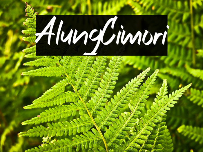 AlungCimori Example 2