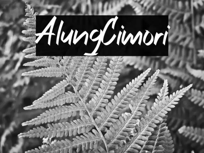 AlungCimori फ़ॉन्ट examples