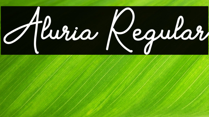 Aluria Regular Example 1