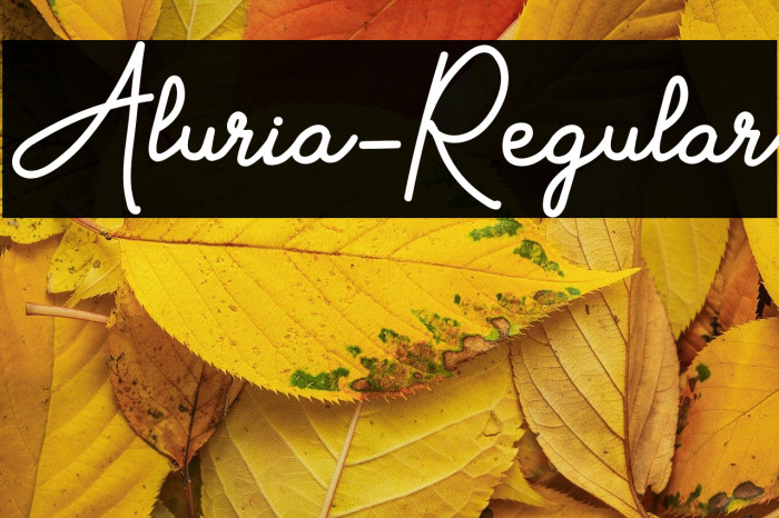 Aluria-Regular Example 1