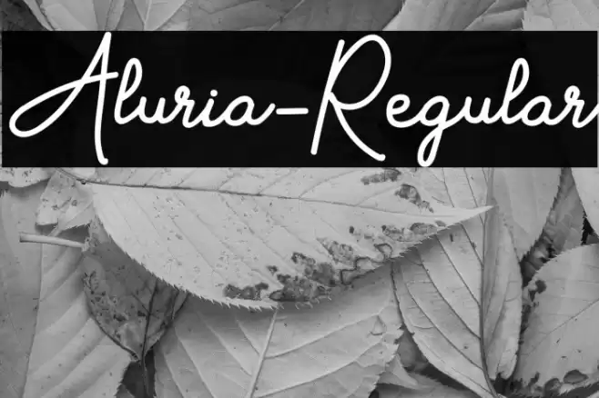 Aluria-Regular Font examples