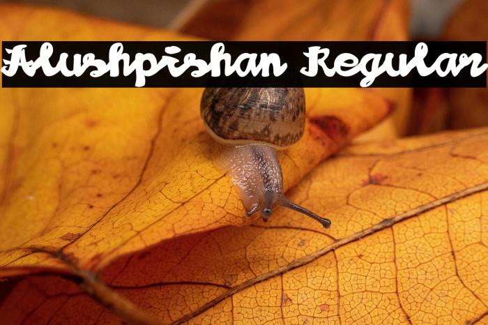 Alushpishan Regular Example 2