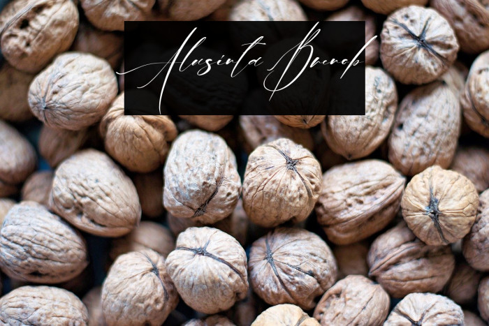 Alusinta Brenob Example 2