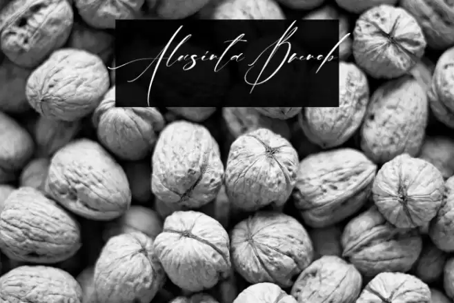 Alusinta Brenob Font examples