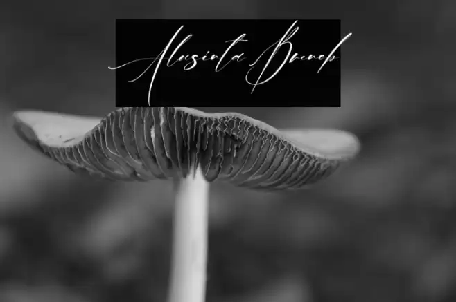 Alusinta Brenob Font examples