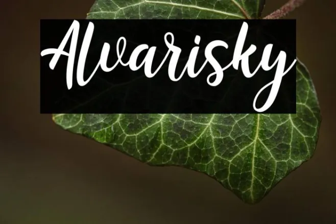 Alvarisky Example 2