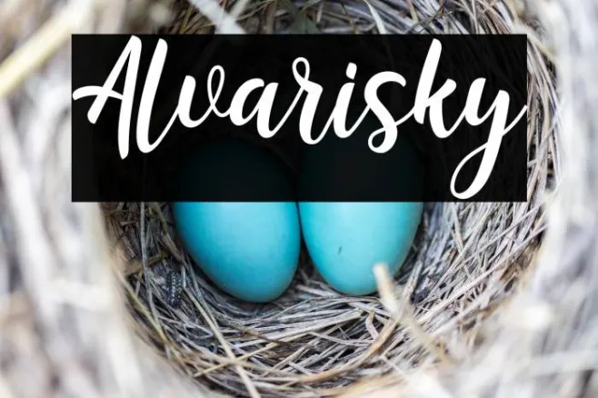Alvarisky Example 3