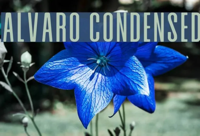 Alvaro Condensed Example 3