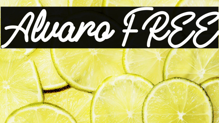 Alvaro FREE Example 1