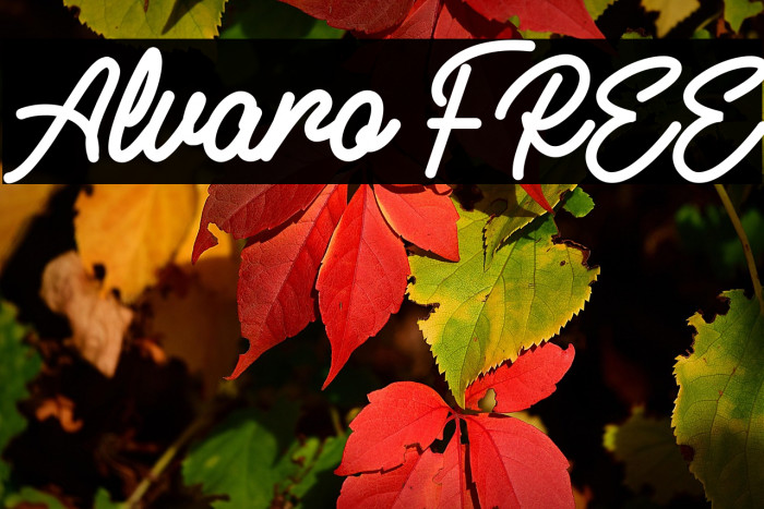 Alvaro FREE Example 3