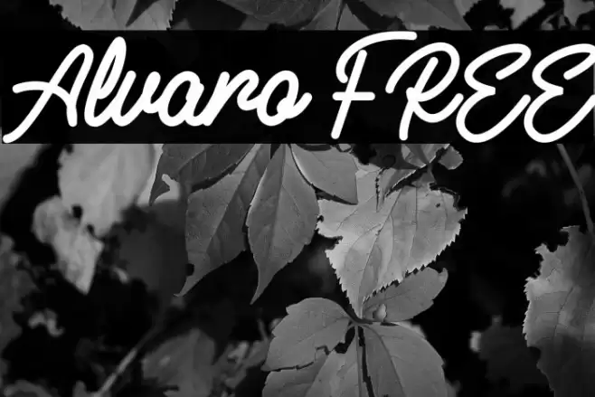 Alvaro FREE Font examples