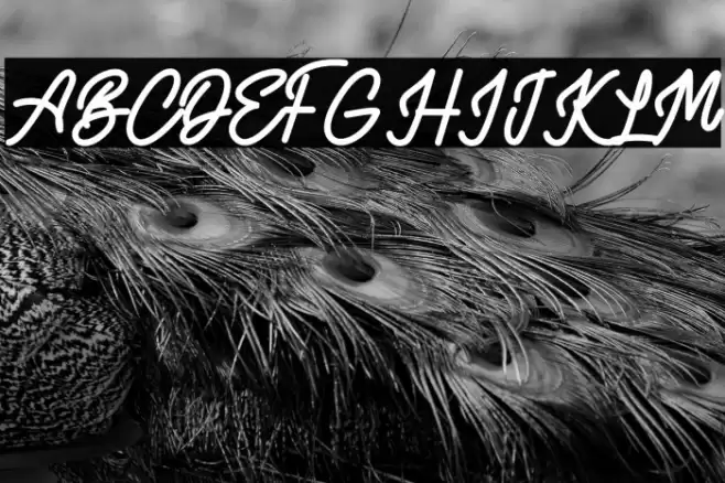 AlvaroFREE Шрифта examples