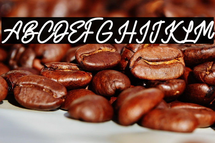 AlvaroFREE Example 3