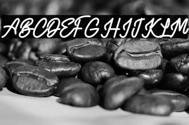 AlvaroFREE Шрифта examples