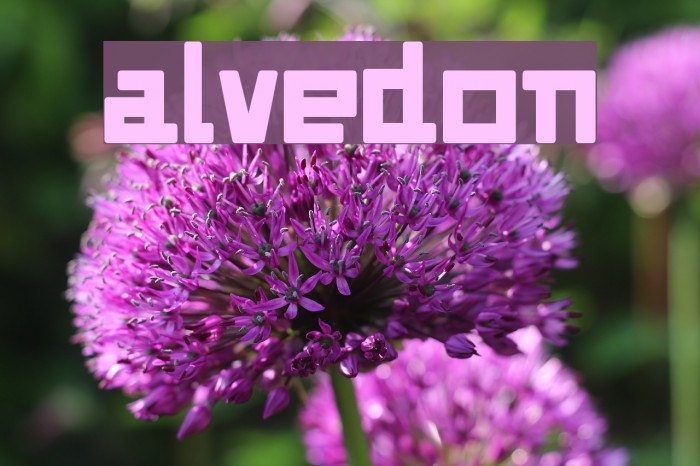 Alvedon फ़ॉन्ट examples