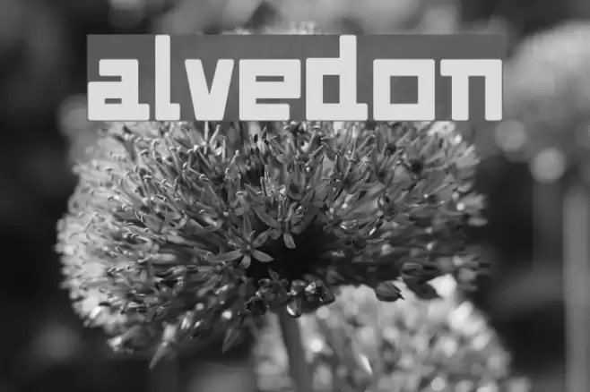 Alvedon Font examples
