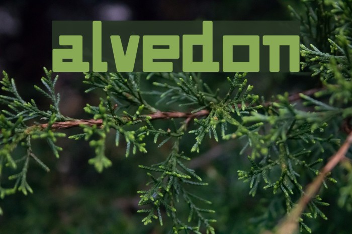Alvedon फ़ॉन्ट examples