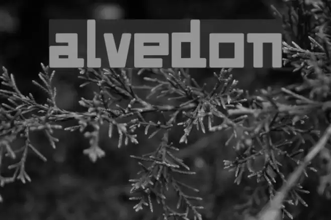 Alvedon Font examples