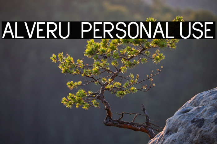 Alveru - Personal Use Example 2