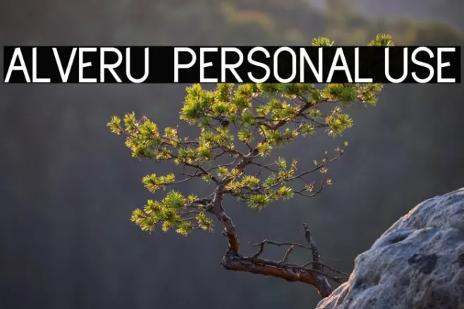Alveru - Personal Use Example 2