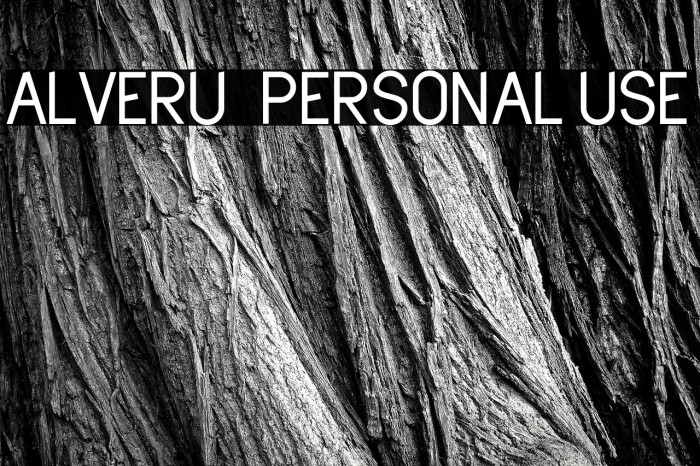 Alveru - Personal Use Example 3