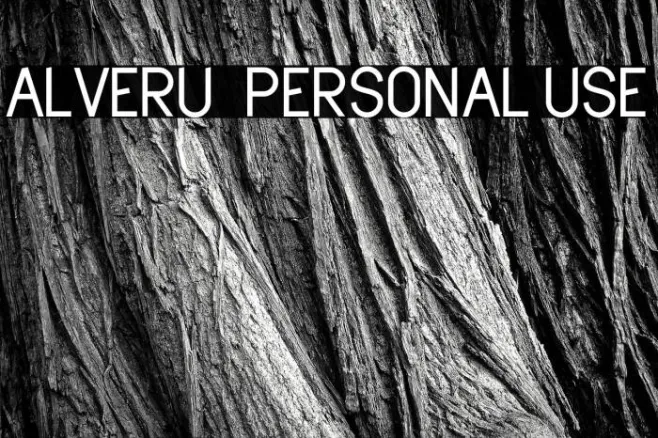 Alveru - Personal Use Example 3