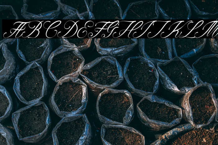 Alviyanidemo-Regular Example 1