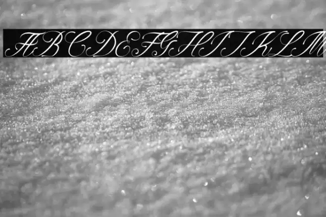 Alviyanidemo-Regular Font examples