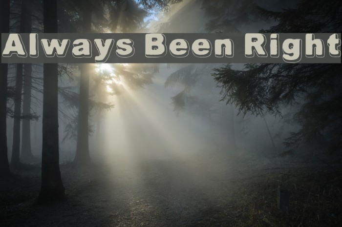 Always Been Right Font examples