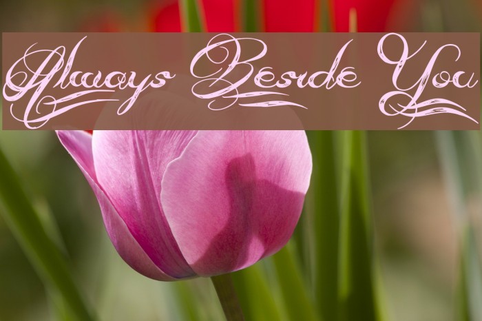 Always Beside You Font examples