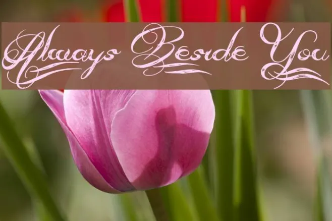 Always Beside You Example 3