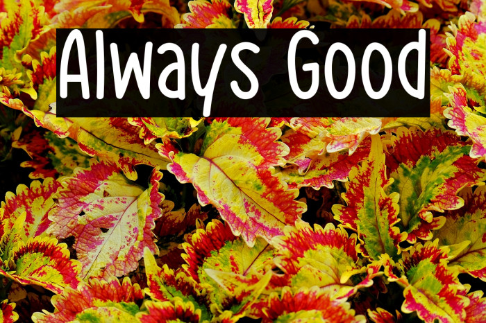 Always Good Example 3