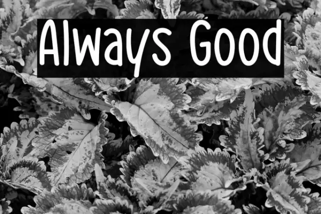 Always Good خط examples